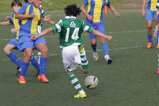 开云平台-体育新闻中心发布体育内容原创度评估智能工具，原创体育sports